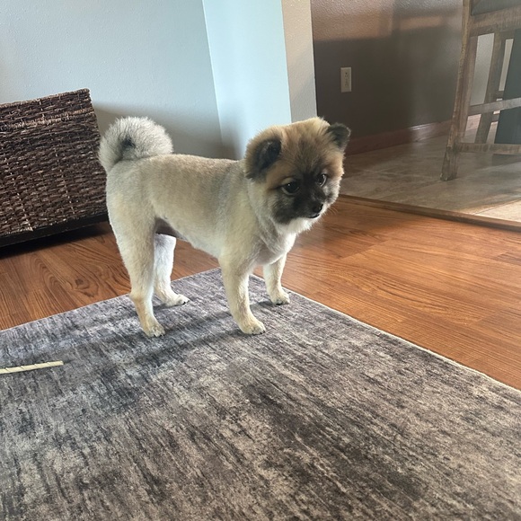 ❤️LOVES OFFERS ❤️! - Picture 12 of 16